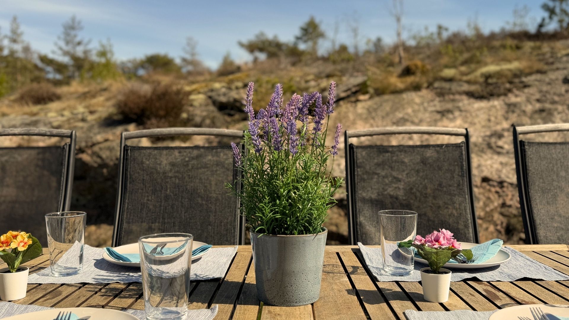 Dukat middagsbord på klipporna vid Apelgården 81 på Tjörn i Bohuslän